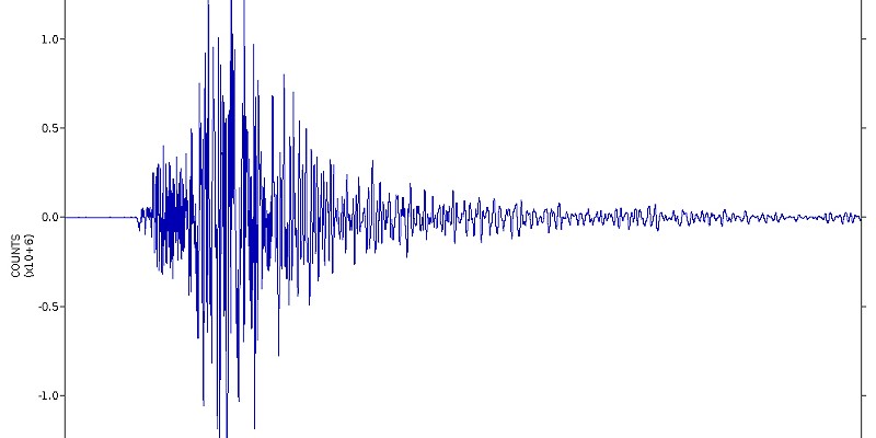 A seismograph reading taken in Corvallis, Oregon, of the magnitude 6.4 Dec. 20 earthquake that struck off the coast of Ferndale.