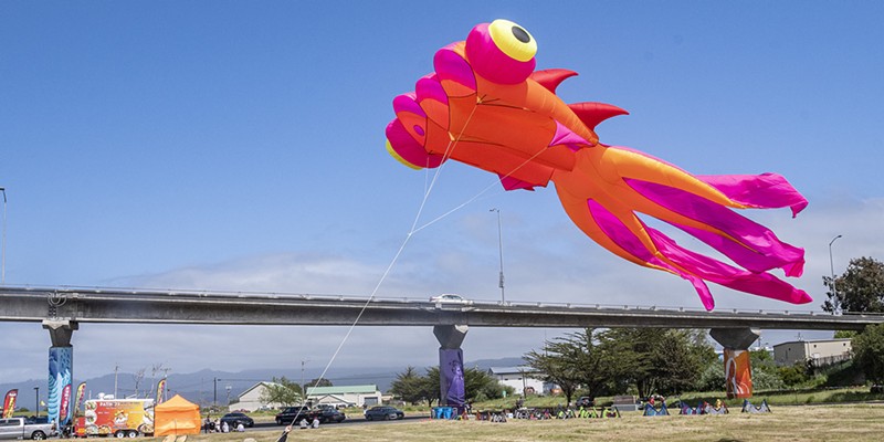 The festival team's airfoil kite takes flight.