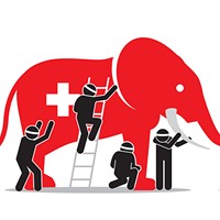 The (Single-Payer) Elephant in the Room