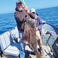 Frank Spallino, of McKinleyville, landed this 46-pound Pacific halibut recently while fishing out of Trinidad.