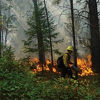TREX trainee Cody Gray uses a drip torch to ignite understory vegetation in a prescribed burn so it will not be there to accelerate much hotter flames in a future wildfire.