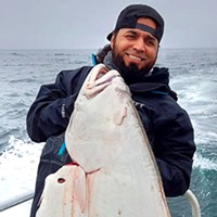 Red Bluff resident Juan Nava landed a giant Pacific halibut while fishing out of Trinidad Monday aboard the Wind Rose. The big fish taped out at 58-inches and was estimated to weigh in the 90-pound range.