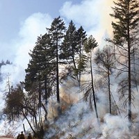 Burners bring fire to a switch-back area along the Gasquet-Orleans Road in a strategy to bring cooler intentional burns frequently to an area that has already had high severity wildfire.
