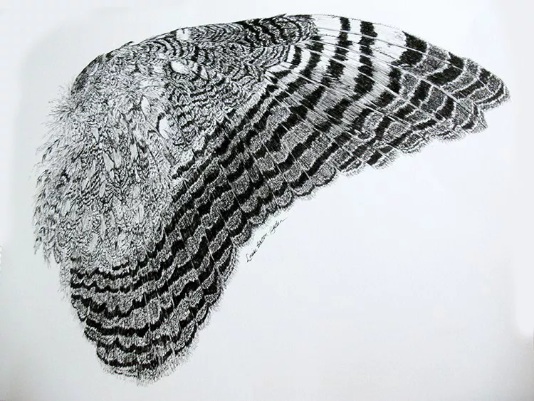 Drawings by Louise Bacon-Ogden at Redwood Curtain Theatre.