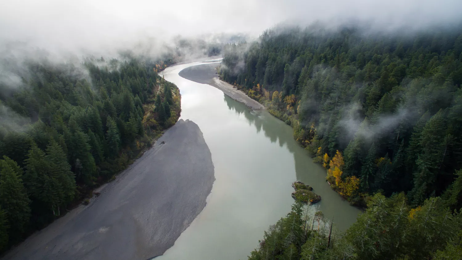 Updated Friends of the Eel River Sues the County Over Cannabis News Blog