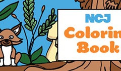 Call for Submissions: Coloring Book Art