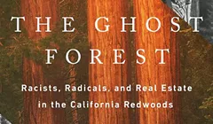 The Ghost Forest's Haunting Histories