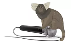 Zoo Animal Council Meeting Minutes