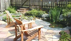 Native Plants, the Designer Way