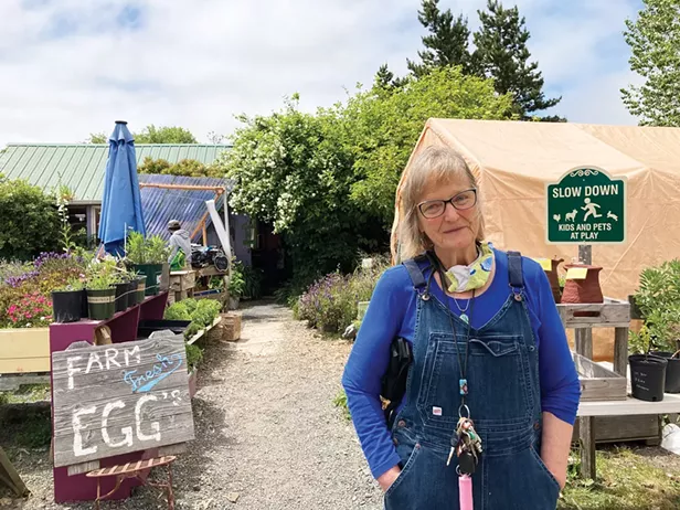 Trouble at Kneeland Glen - Vimarsana News
