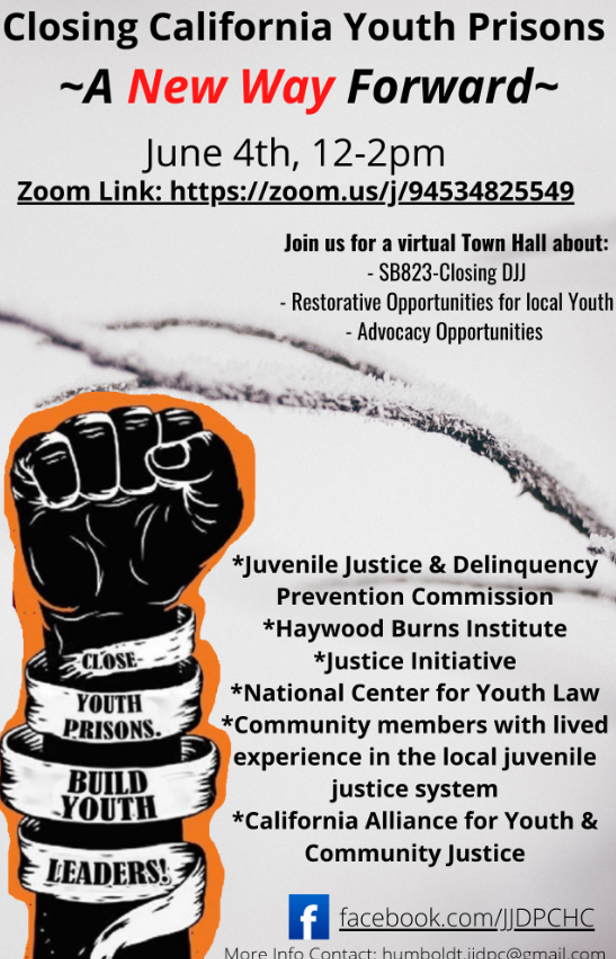 Closing California Youth Prisons - A New Way Forward - Vimarsana News