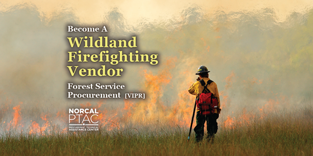 Become a Wildland Firefighting Vendor - Vimarsana News