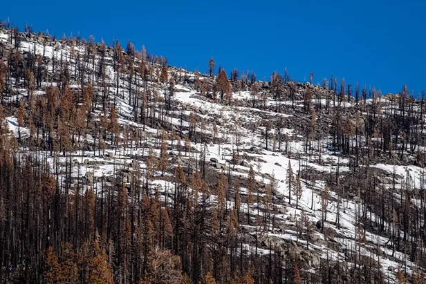 No End in Sight: California Drought on Course to Break Another Record - Vimarsana News