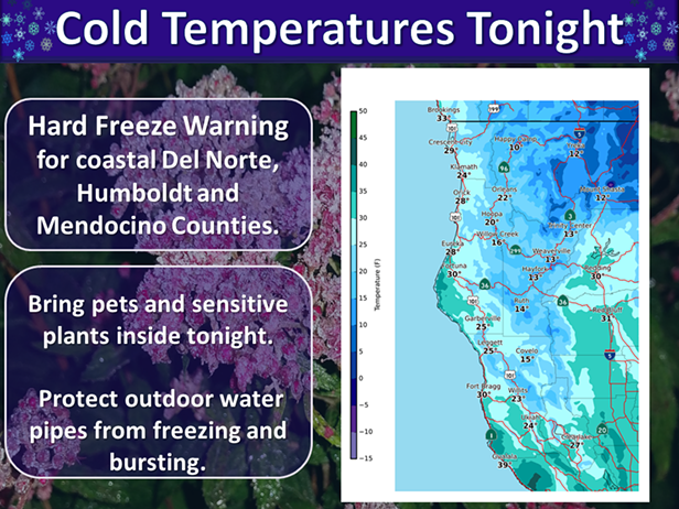 Hard Freeze Warning: Temps Likely to Dip into the 20s - Vimarsana News