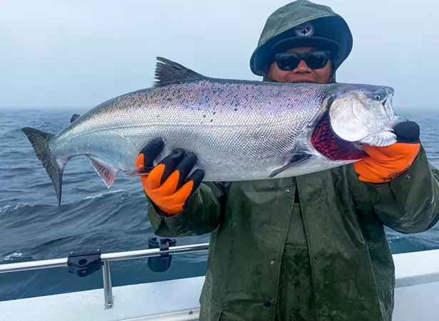 Salmon Plentiful Off the North Coast - Vimarsana News