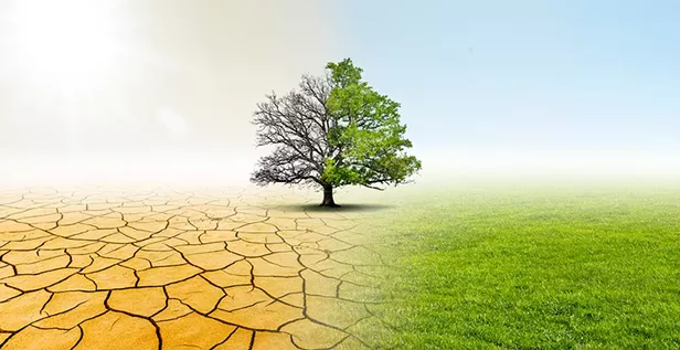 Climate Controversy: California's Plan for Handling Crisis is Flawed, Advisors Say - Vimarsana News