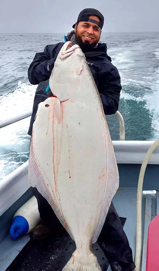 Pacific Halibut Continue to Chew Up Baits Fishing the North Coast