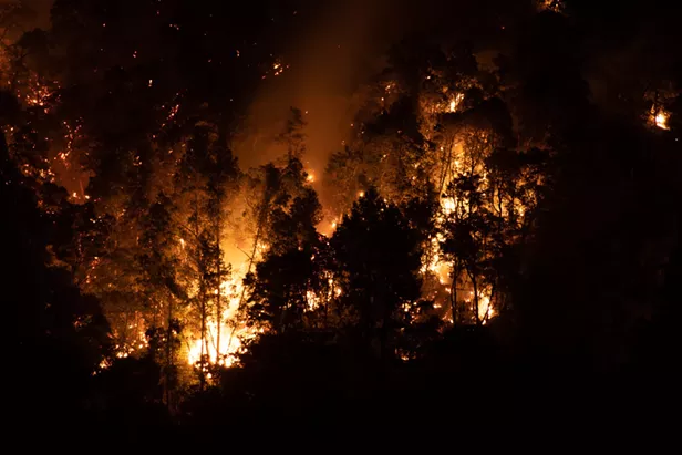 Officials Warn of 'Long Battle' As Reinforcements Arrive to Fight Six Rivers Lightning Complex - Vimarsana News