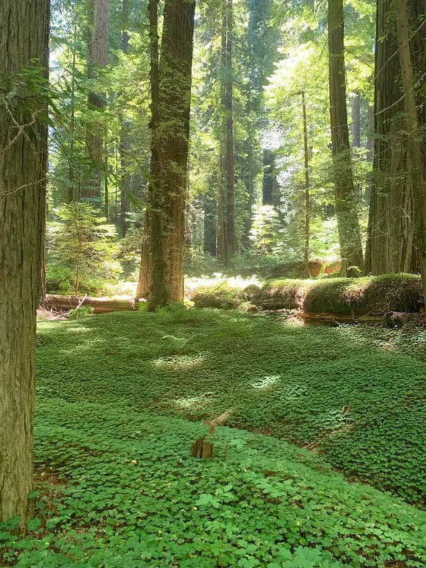 A Day's Drive to 10 Beautiful Places - Vimarsana News