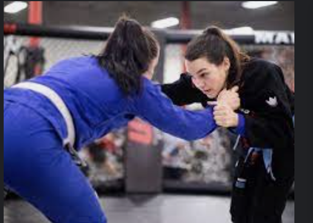 Women's Brazilian Jiu Jitsu Classes - all levels including beginners - Vimarsana News