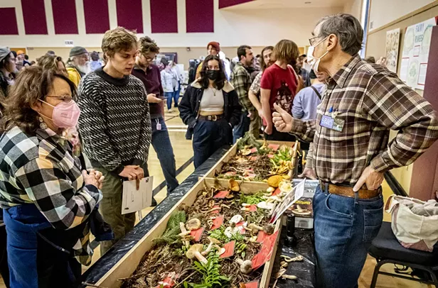 Mushroom Mania - Vimarsana News