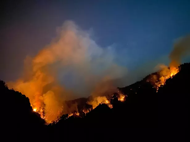 By the Numbers: California's Mild 2022 Wildfire Season - Vimarsana News