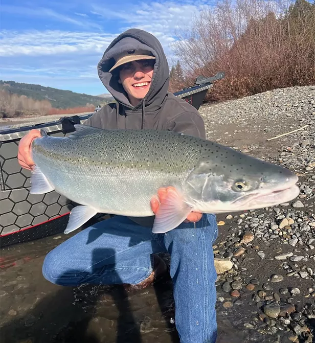 Harvesting Chetco Winter Steelhead Will Come at a Price - Vimarsana News