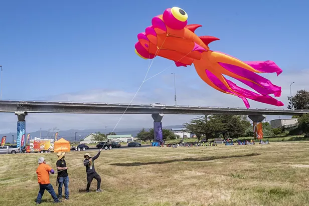 Photos: Redwood Coast Kite Festival and Artisan Fair - Vimarsana News