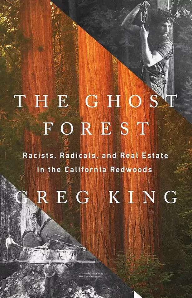 The Ghost Forest's Haunting Histories - Vimarsana News