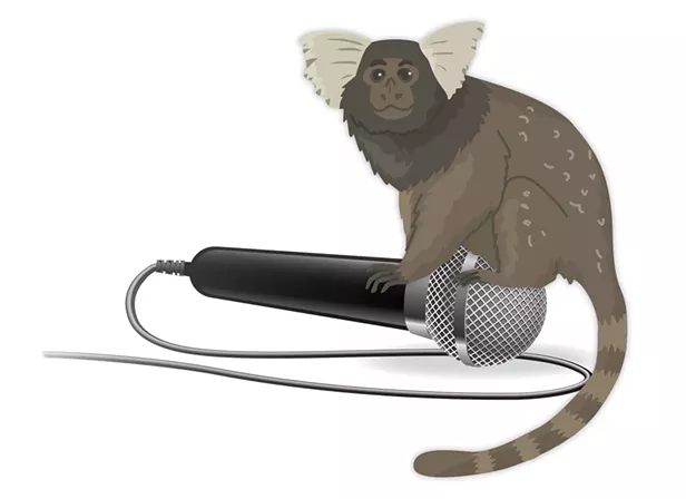 Zoo Animal Council Meeting Minutes - Vimarsana News