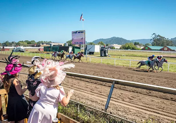 Supes Pony Up $1 Million in Effort to Save Horse Racing at the Fair - Vimarsana News