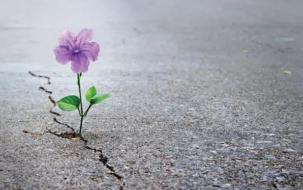 Hope | Views | North Coast Journal - Vimarsana News