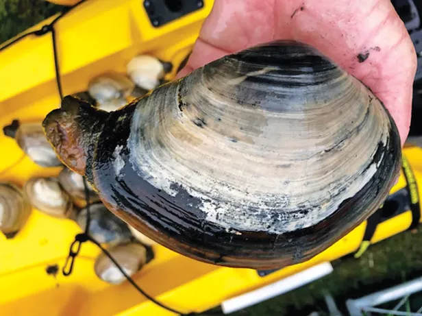 Washed Up | North Coast Journal - Vimarsana News