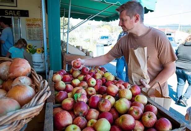 Fall Festival Fun in Fortuna - Vimarsana News