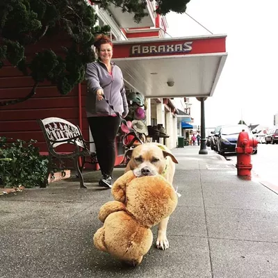 Photo Contest 2021 - Dogs