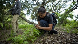 iNaturalist App in action - Uploaded by California State Parks NCRD