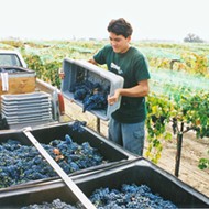 After 20 years of winemaking, Cayucos' Aaron Jackson cements his legacy as a fierce promoter and protector of the region
