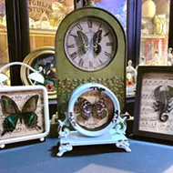 Local artist transforms dead animals into art