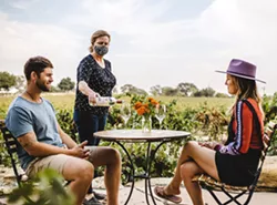 RESERVE FOR A TASTE Slide into one of Castoro Cellars’ outdoor tasting tables over Harvest Wine Weekend for a barrel tasting. - PHOTO COURTESY OF CASTORO CELLARS