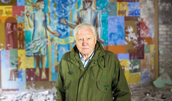 BEARING WITNESS Legendary British natural historian Sir David Attenborough offers his account of human impact on our planet, offering a path forward to end our destructive ways and remake our world, in A Life on Our Planet, available on Netflix. - PHOTO COURTESY OF ALTITUDE FILM ENTERTAINMENT