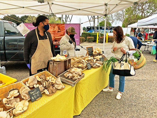 SATURDAY IN THE PARKING LOT Morro Bay Mushrooms owner Rosa Zunino speaks with a customer at the April 3 farmers' market in San Luis Obispo, while intern Nico Saiz is ready to help. - PHOTO BY CAMILLIA LANHAM