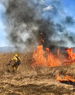 FIRE DANGER If a fire were to start in Cambria, it could rip through dead and dying Monterey pines and a dense understory of vegetation—something a new project hopes to avoid. - COVER FILE PHOTO COURTESY OF SLO COUNTY CAL FIRE