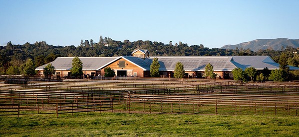 BIG DONATION Gina Bornino-Miller, owner of the Templeton Farms (pictured), is gifting her 52-acre sport horse ranch to the UC Davis School of Veterinary Medicine. - PHOTO COURTESY OF TEMPLETON FARMS