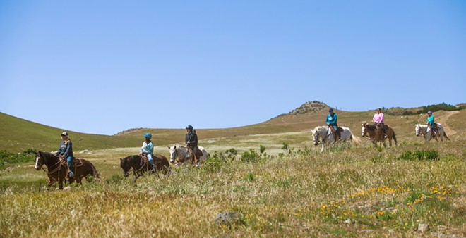 SADDLE UP Katie Tanksley (left) guides a group of riders through the meadows below Cerro San Luis as part of Madonna Inn Trail Rides, the Best Horseback Riding around. - PHOTO BY JAYSON MELLOM
