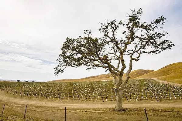 REVISIONS A revised Paso Robles Groundwater Sustainability Plan is finished and getting the final green lights from local agencies before it's passed on to the state. - FILE PHOTO BY TOM FALCONER