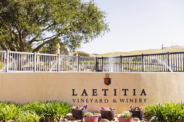 Toujours visible Fondée en 1982 sous le nom de Maison Deutz, Laetitia a été rebaptisée en 1997, lorsque Jean-Claude Tardivat a acheté Arroyo Grande et l'a nommée d'après sa fille.  Le domaine a été vendu à Selim Zilkha l'année suivante, puis acquis par Vintage Wine Estates, basé à Santa Rosa, en 2019. - PHOTO COURTOISIE DE LAETITIA VINEYARD & amp;  vignoble