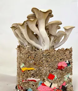 BURIED IN SAND Based on her experiences, artist Minga Opazo's work highlights the strange plastic-infused landscape that permeates Chilean deserts. - PHOTO COURTESY OF MINGA OPAZO