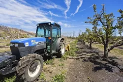 LAND SAVED: Cal Poly is taking possible development of some of its on-campus agriculture land out of its proposed master plan, thanks to the efforts of concerned students and faculty. - FILE PHOTO BY KAORI FUNAHASHI