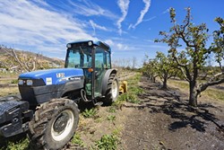 LAND SAVED:  Cal Poly is taking possible development of some of its on-campus agriculture land out of its proposed master plan, thanks to the efforts of concerned students and faculty. - FILE PHOTO BY KAORI FUNAHASHI