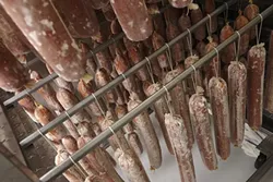 25: : Inside the drying room, the freshly made salamis are on the racks in the bottom, while the ready to sell versions are hanging above.